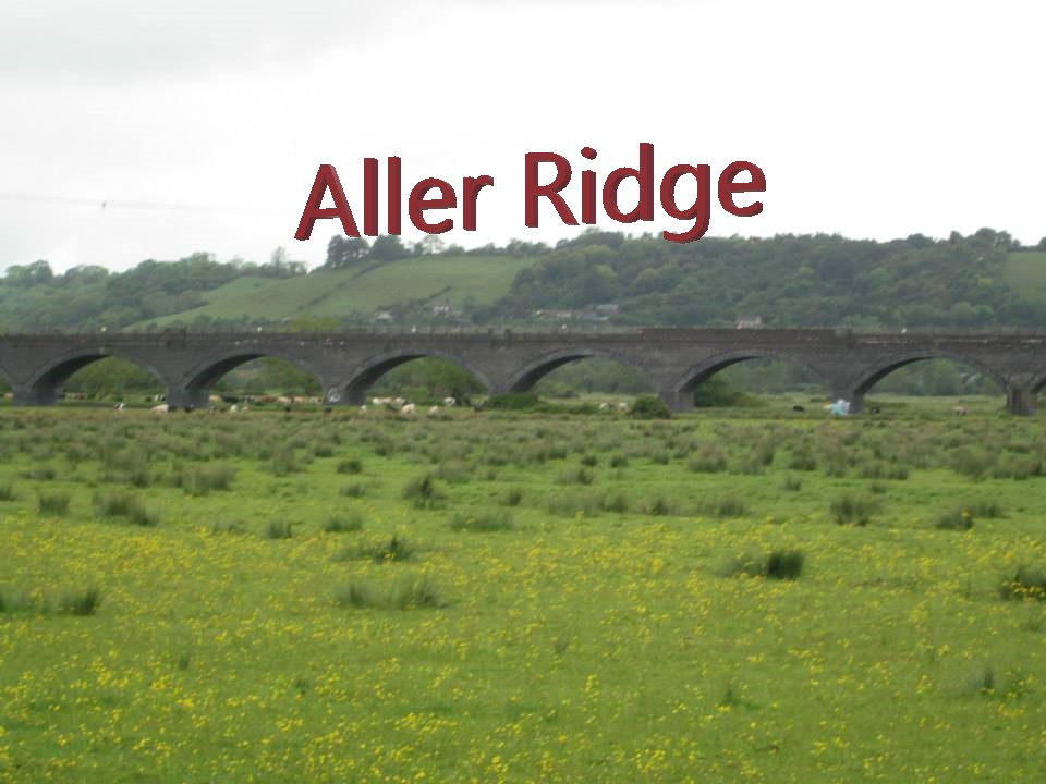 Aller Ridge v2